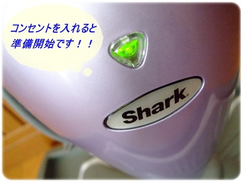 shark 044-1.JPG